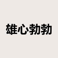 雄心勃勃是什么意思