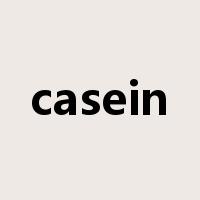 casein是什么意思