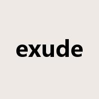 exude是什么意思