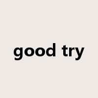 good try是什么意思