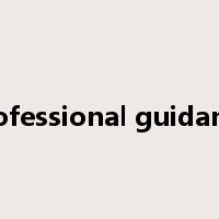 professional guidance是什么意思