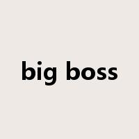 big boss是什么意思