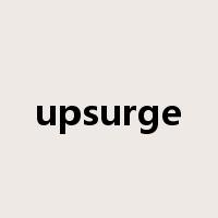 upsurge是什么意思