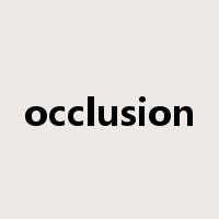 occlusion是什么意思