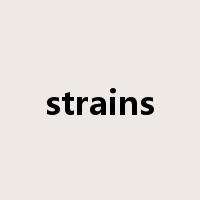 strains是什么意思