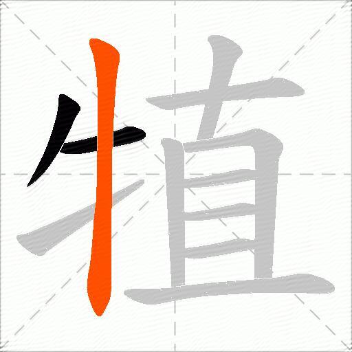 犆