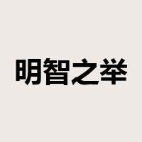 明智之举是什么意思