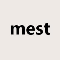 mest是什么意思