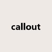 callout是什么意思