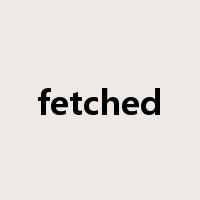 fetched是什么意思