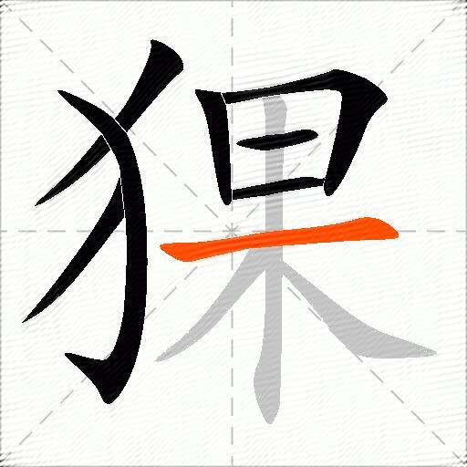 猓