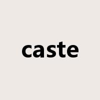 caste是什么意思