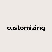 customizing是什么意思