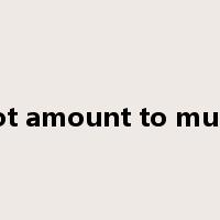 not amount to much是什么意思