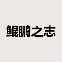 鲲鹏之志是什么意思