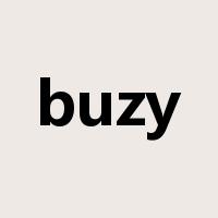 buzy是什么意思