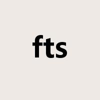 fts是什么意思