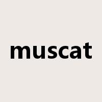 muscat是什么意思