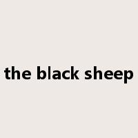 the black sheep是什么意思