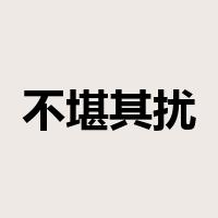 不堪其扰是什么意思