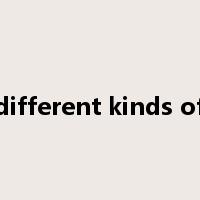 different kinds of是什么意思