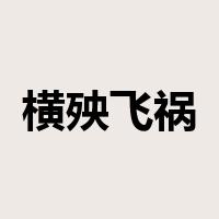横殃飞祸是什么意思