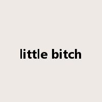 little bitch是什么意思