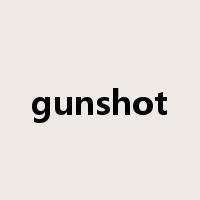 gunshot是什么意思