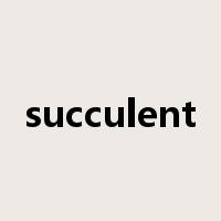 succulent是什么意思
