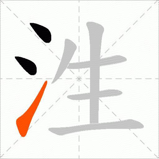 泩
