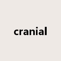 cranial是什么意思