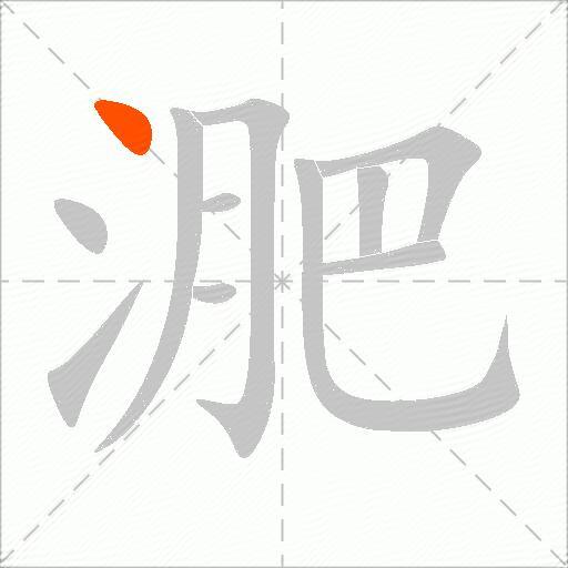 淝
