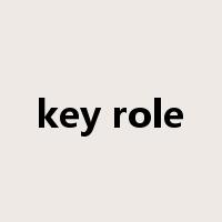 key role是什么意思