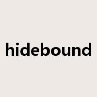 hidebound是什么意思