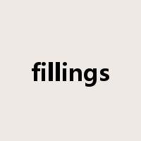 fillings是什么意思