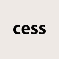 cess是什么意思