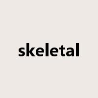 skeletal是什么意思