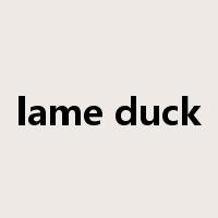lame duck是什么意思