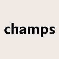 champs是什么意思