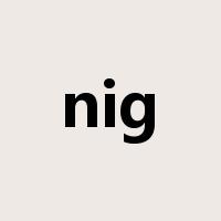 nig是什么意思