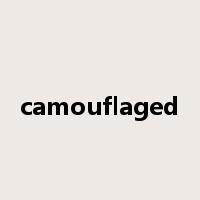camouflaged是什么意思