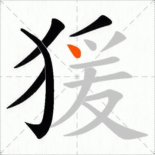 猨