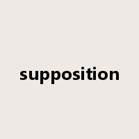 supposition是什么意思