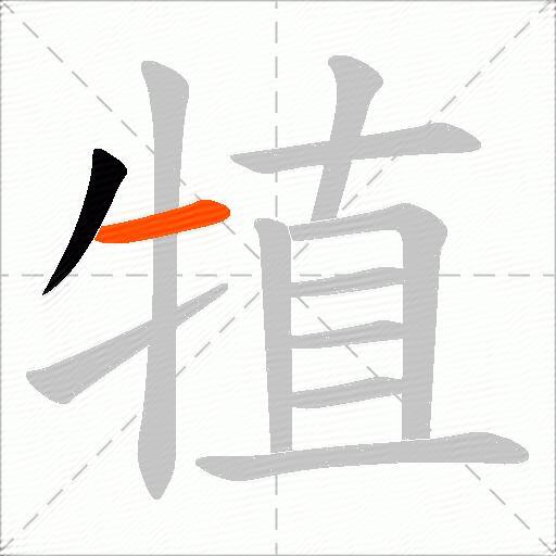 犆
