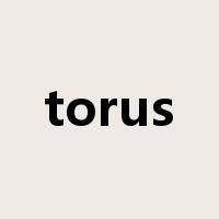 torus是什么意思