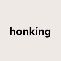 honking是什么意思