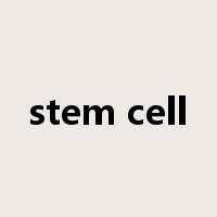 stem cell是什么意思
