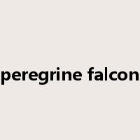 peregrine falcon是什么意思