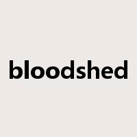 bloodshed是什么意思