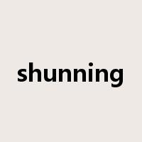 shunning是什么意思